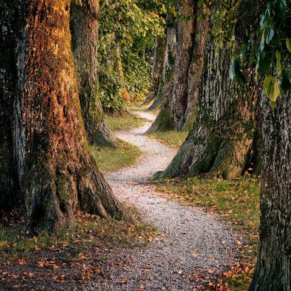 The programs featured image